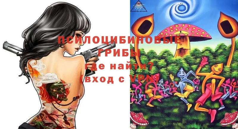 Псилоцибиновые грибы Magic Shrooms  площадка формула  Бородино  как найти закладки 